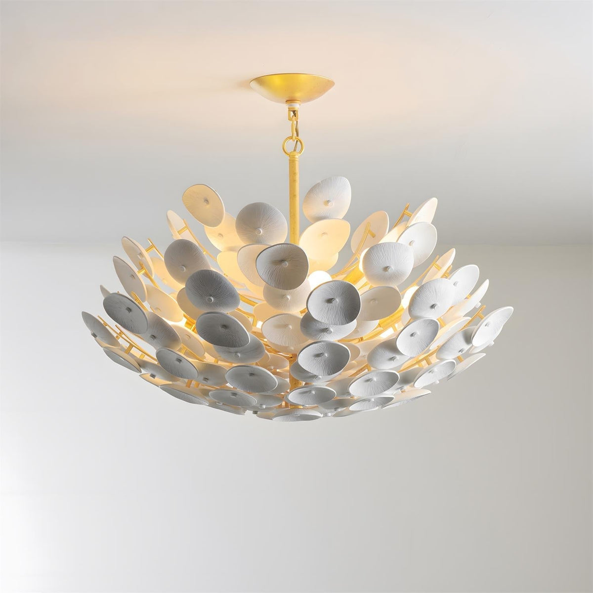 Ciruira candelabru