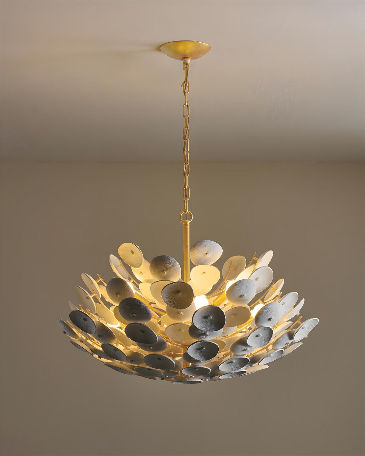 Ciruira candelabru