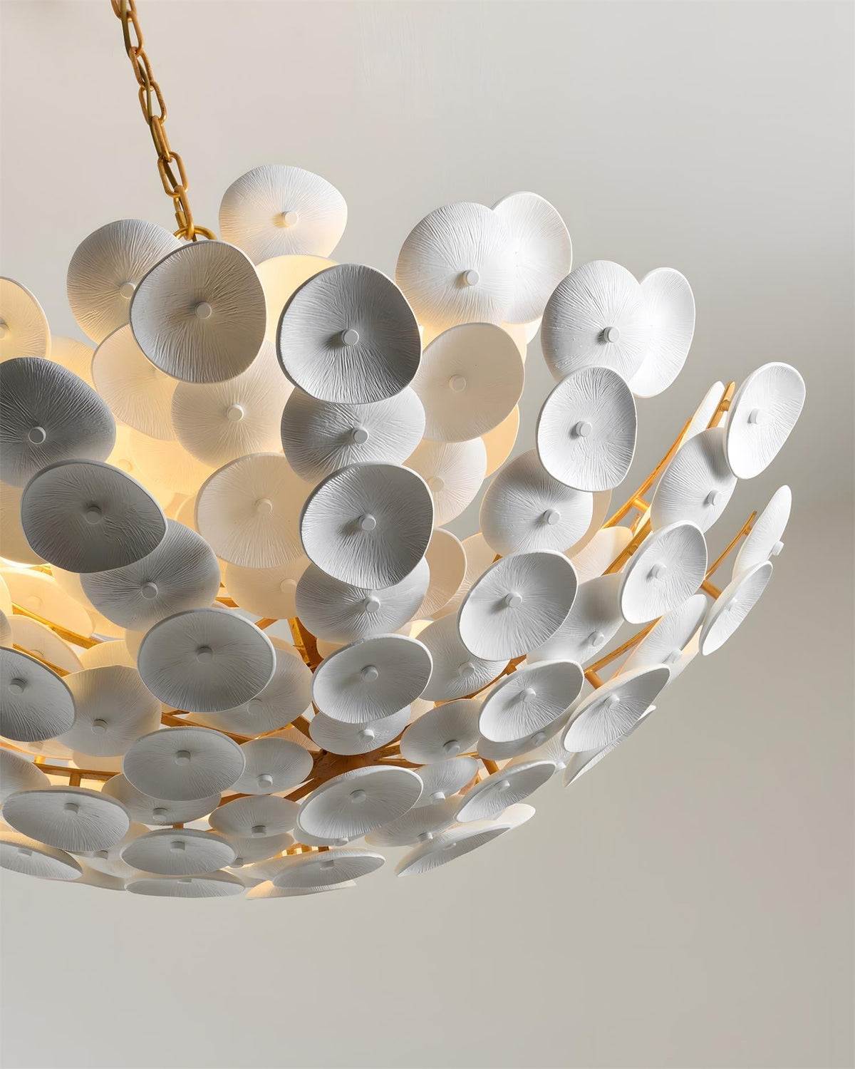 Ciruira candelabru