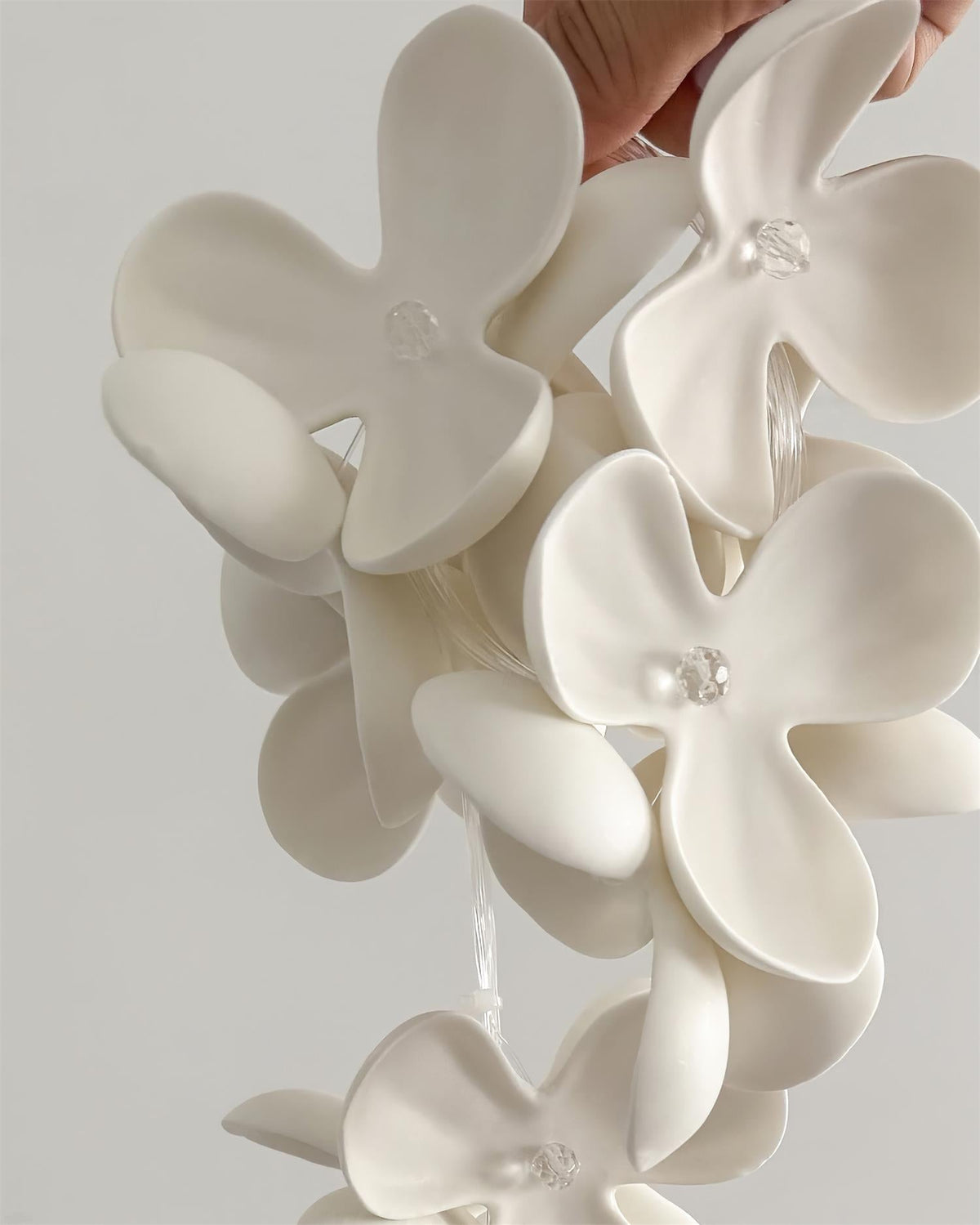 Petalisa candelabru