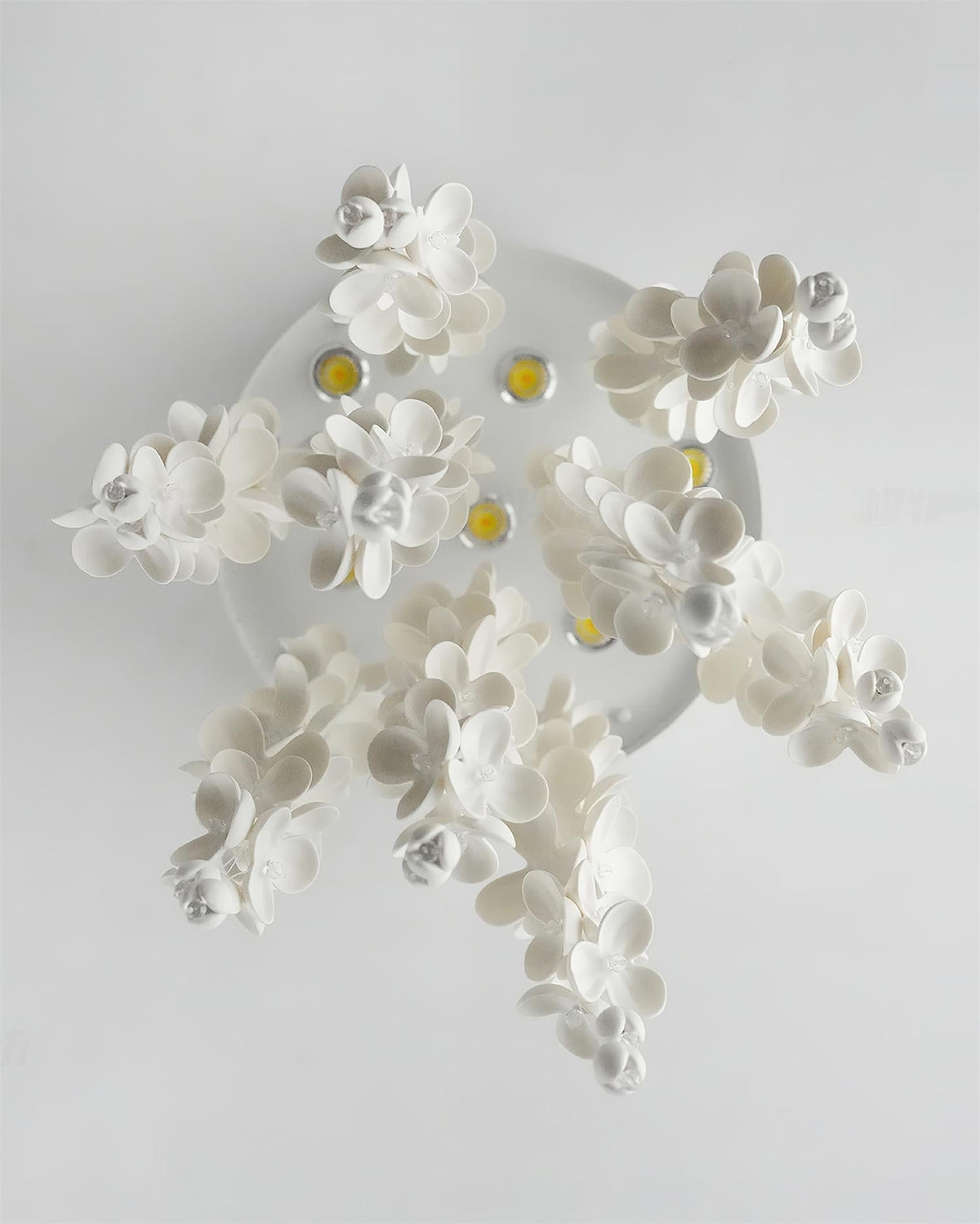 Petalisa candelabru