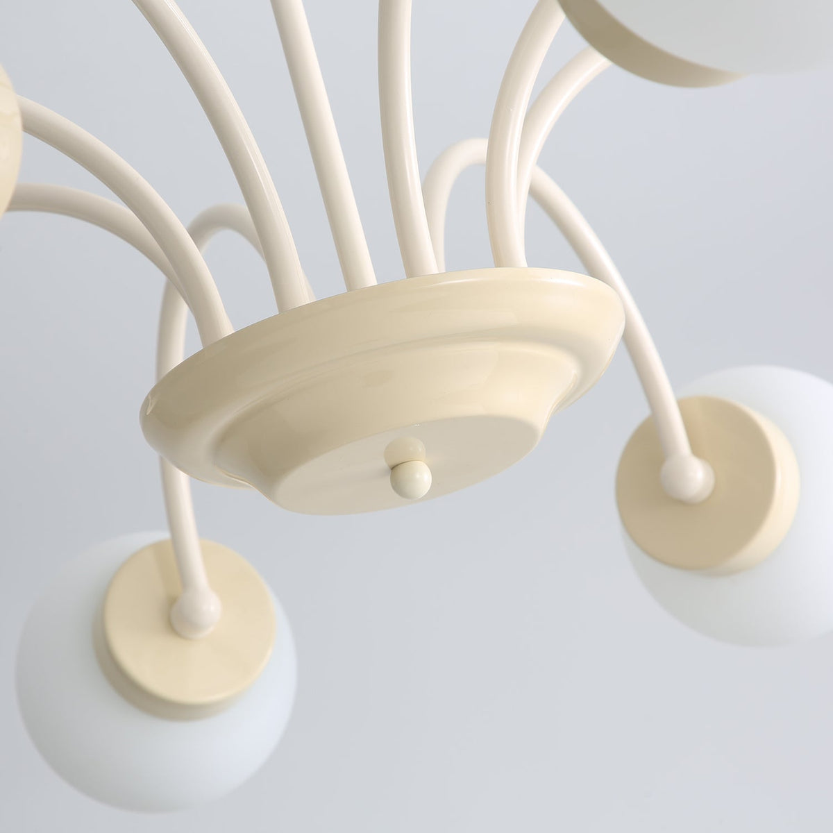 Pivone candelabru