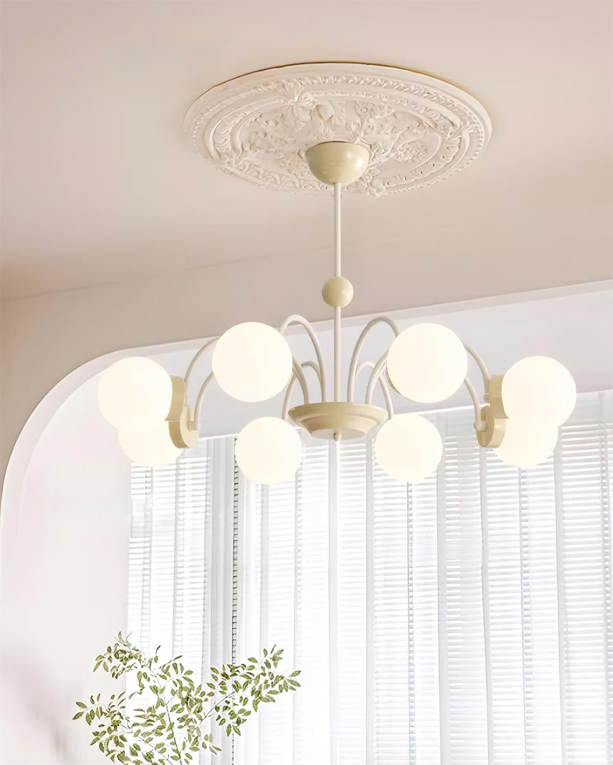Pivone candelabru