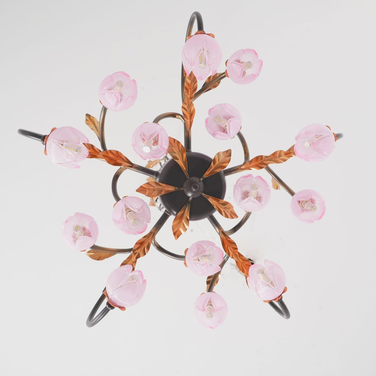 Sorirena candelabru