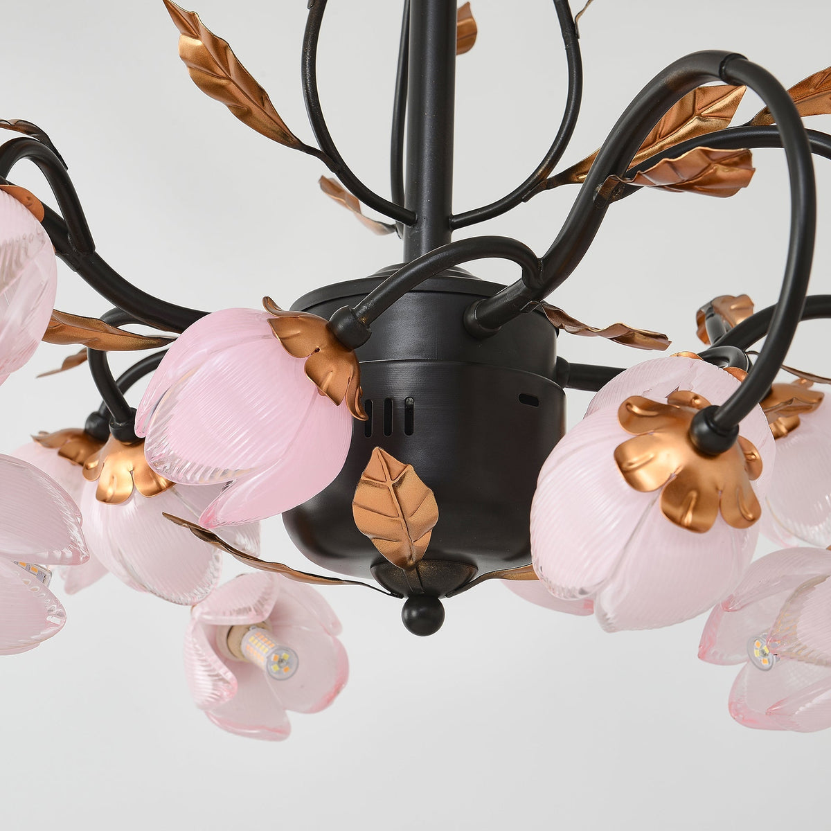 Sorirena candelabru