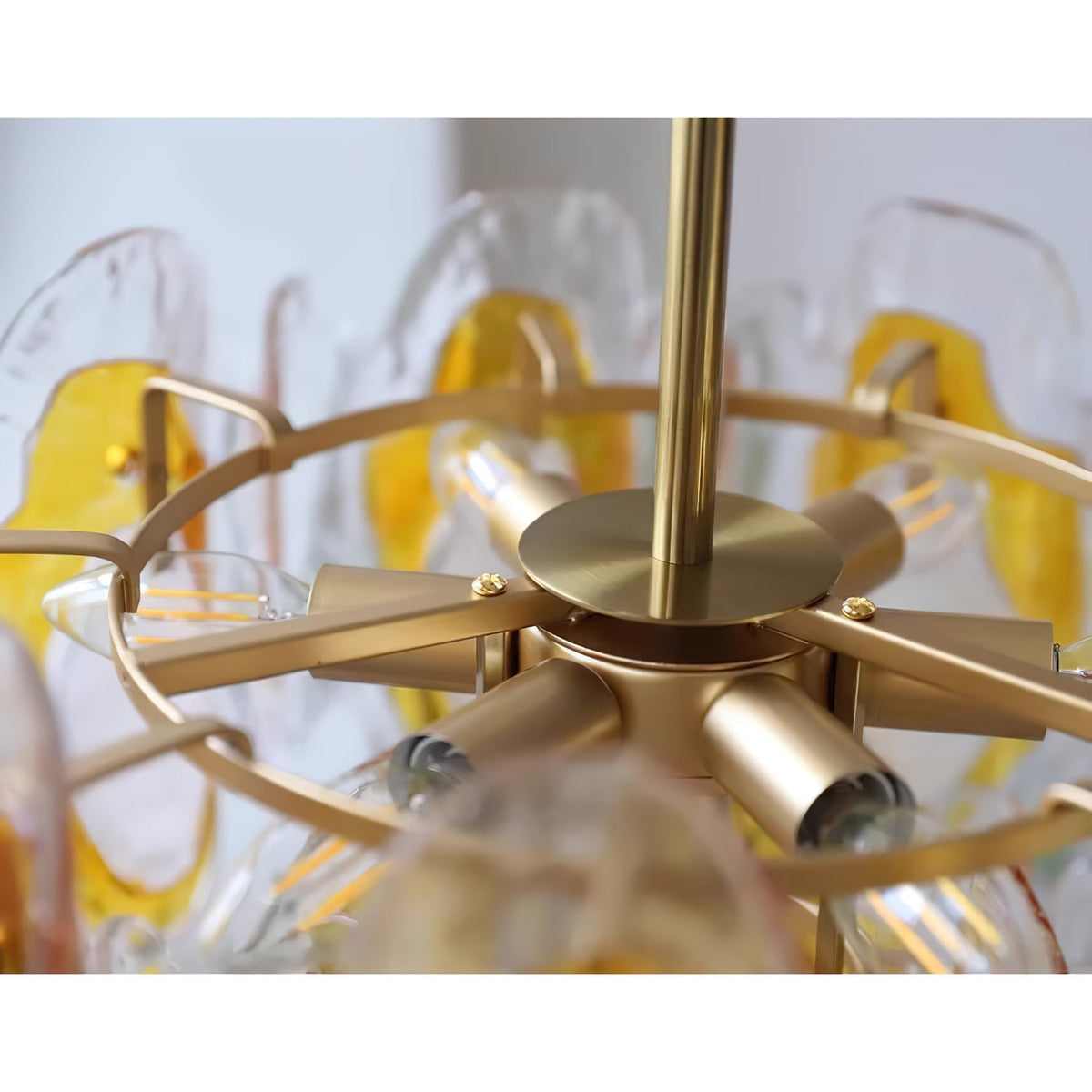 Zecaryra candelabru