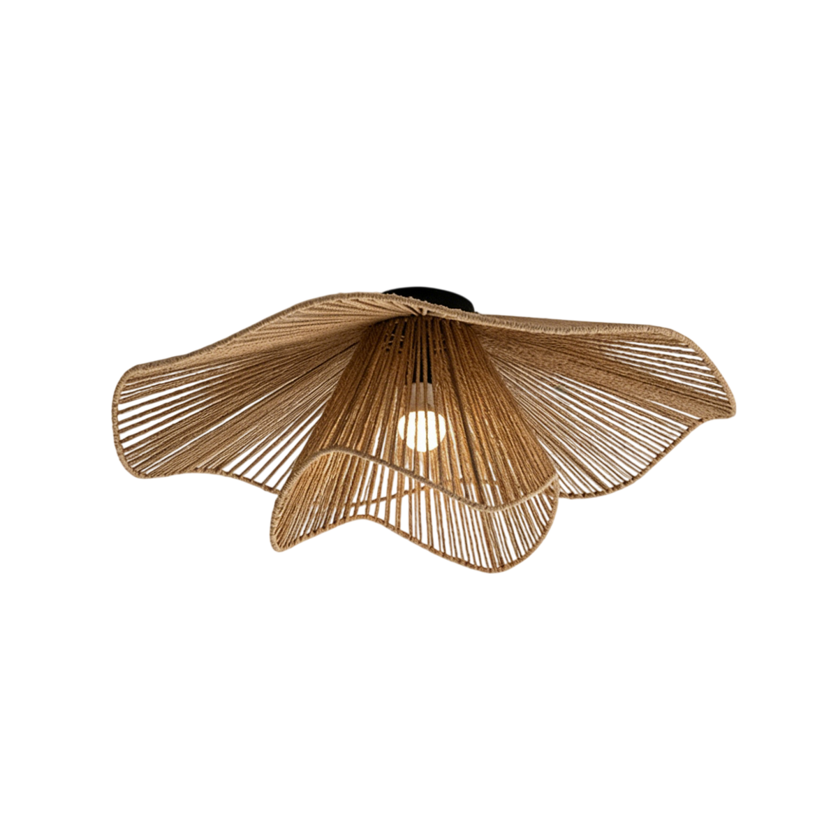 Liorariella plafonieră