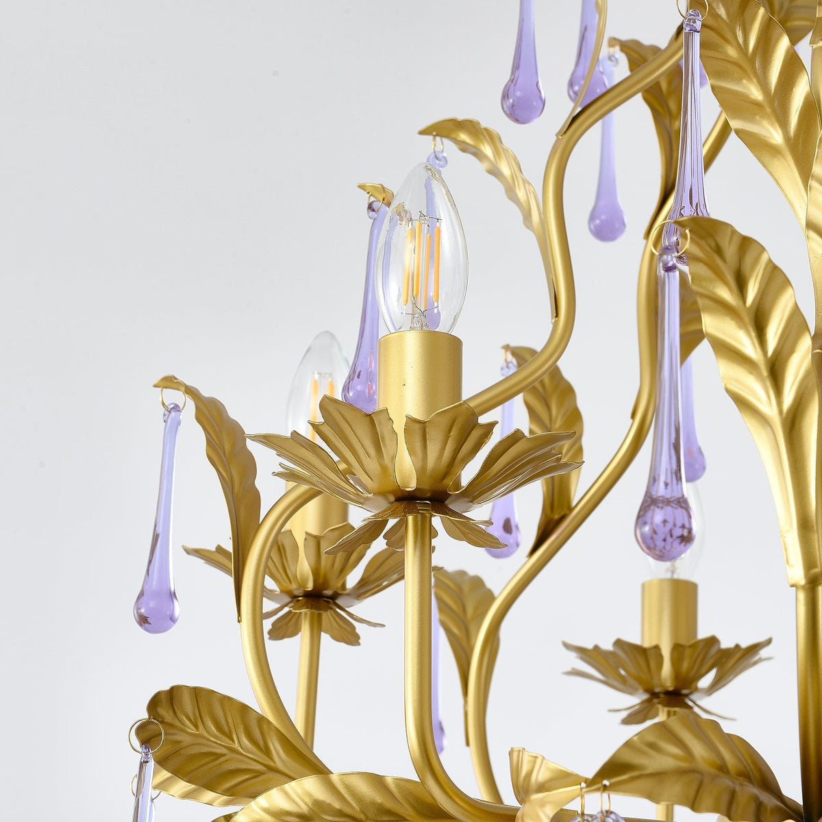 Ciriaria candelabru