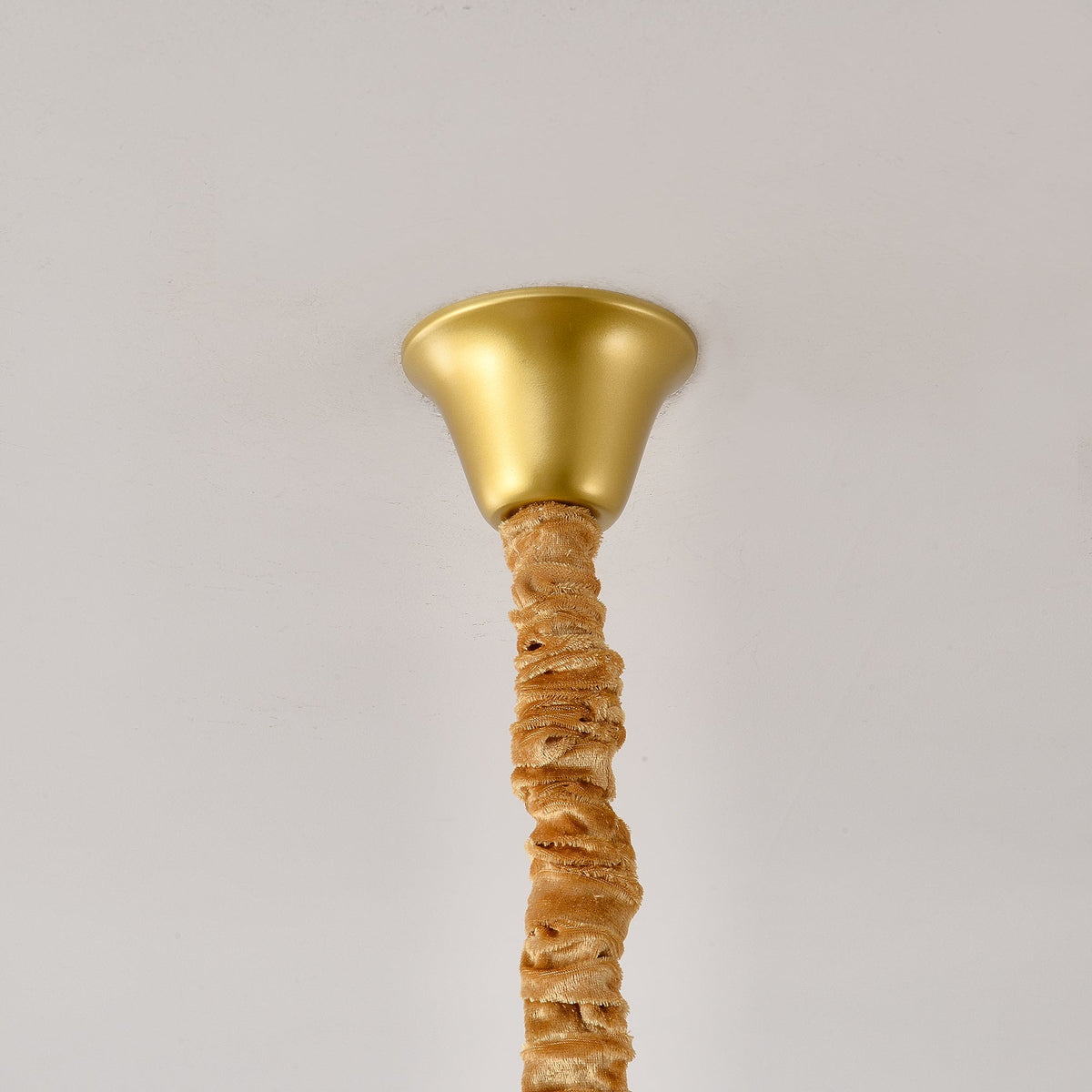 Ciriaria candelabru