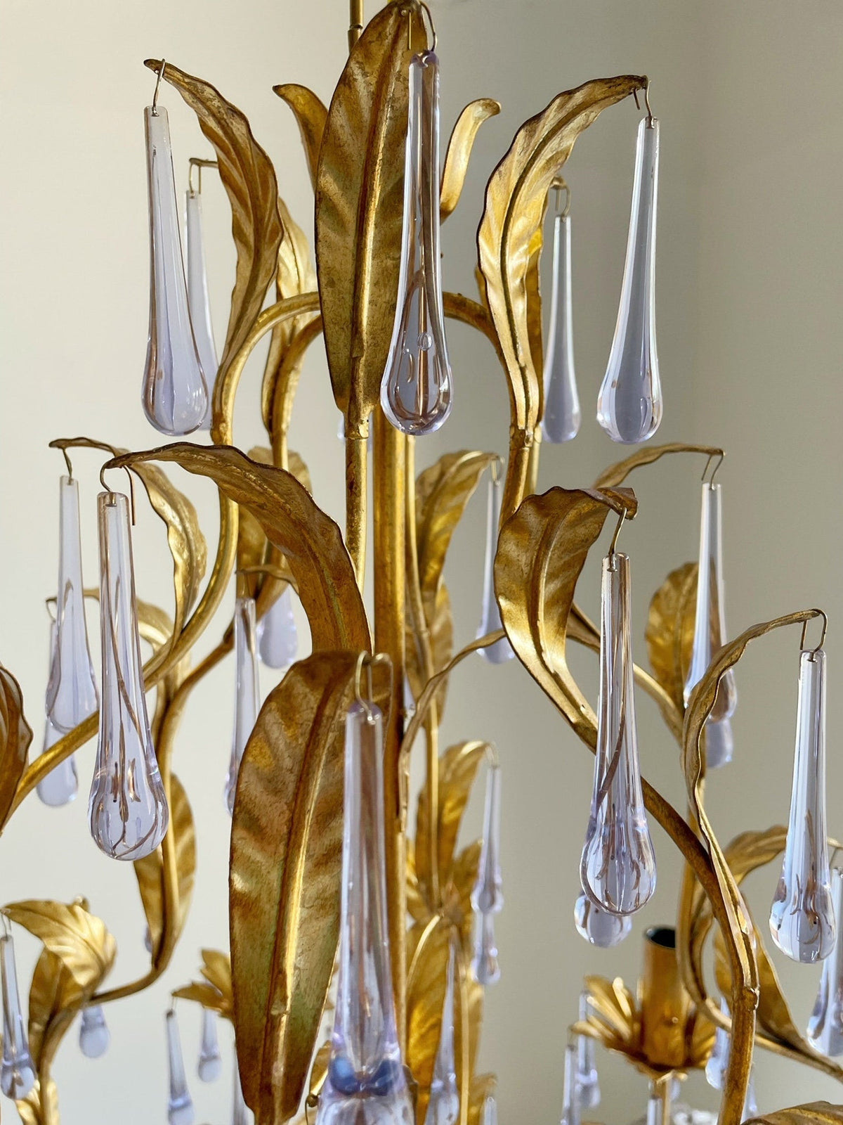 Ciriaria candelabru