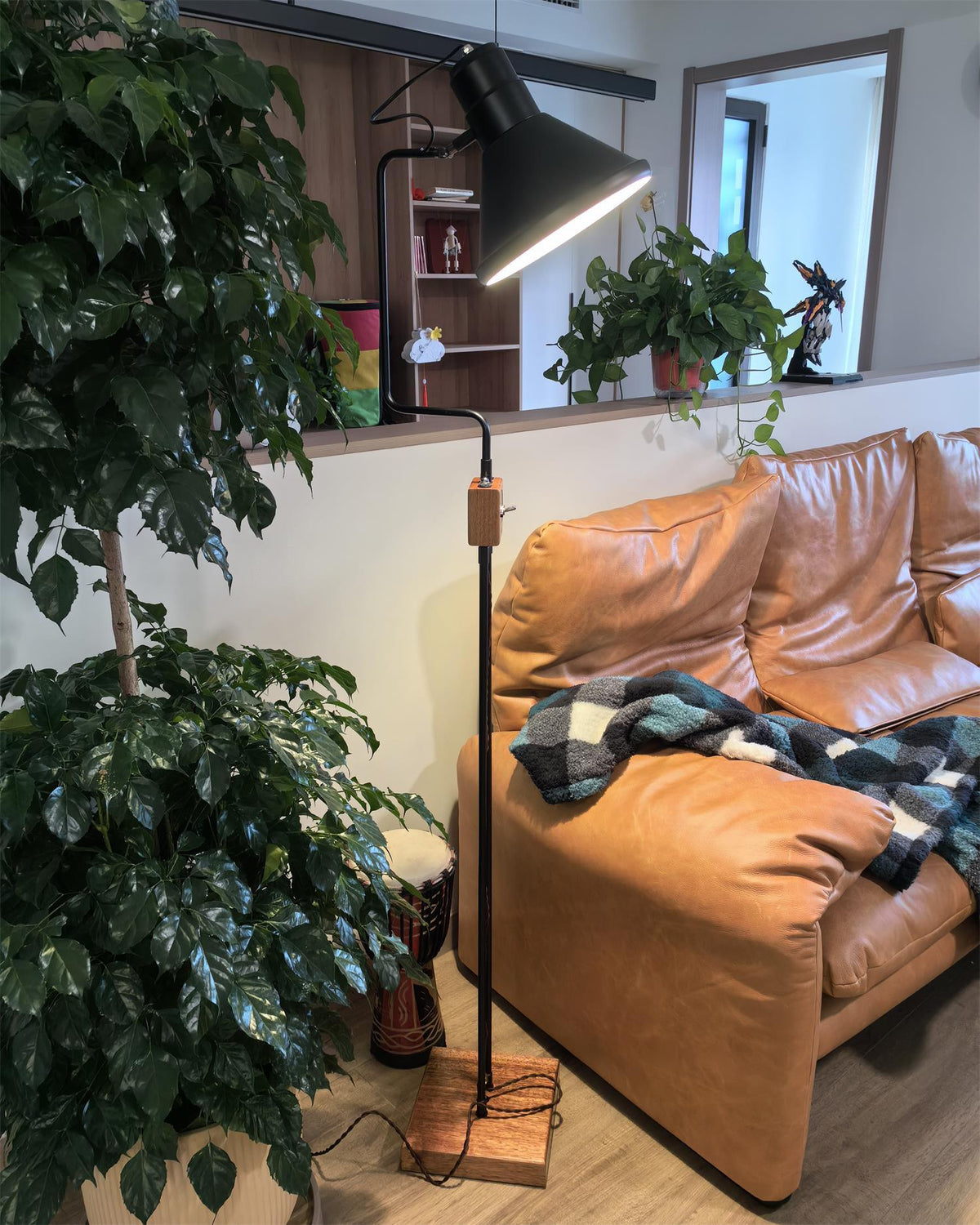 Terieria lampadar