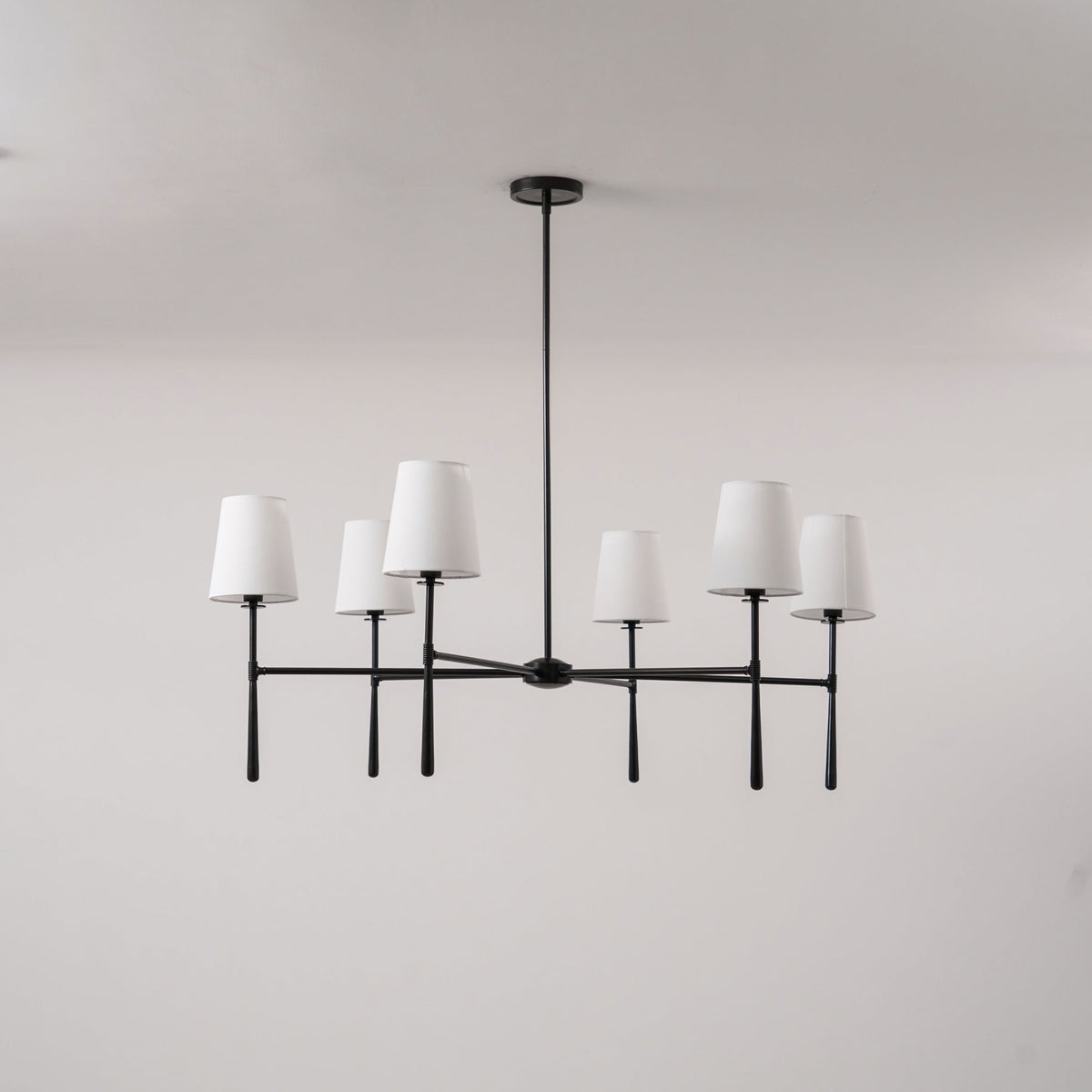Aroa candelabru, rotund
