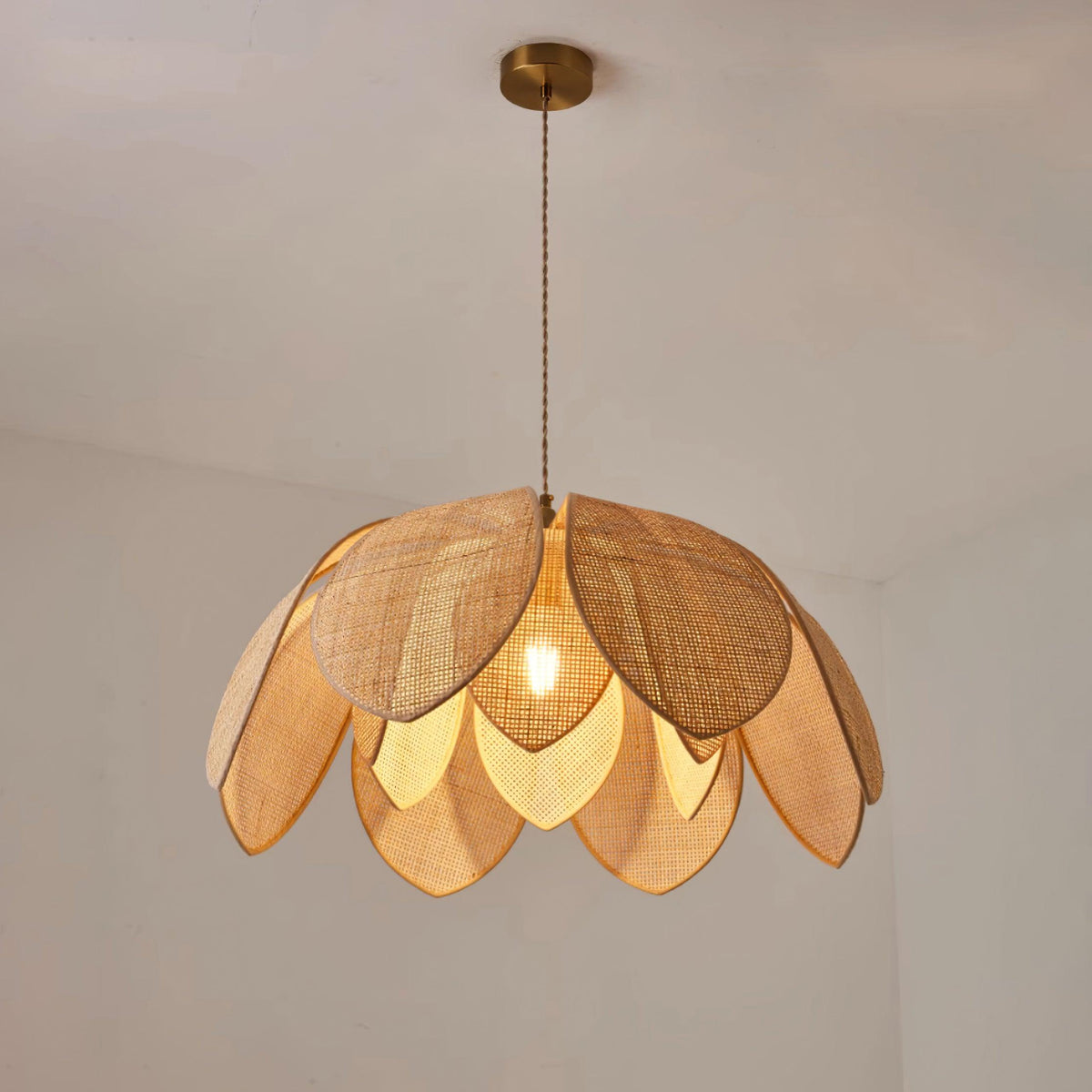 Calalia lampă suspendată