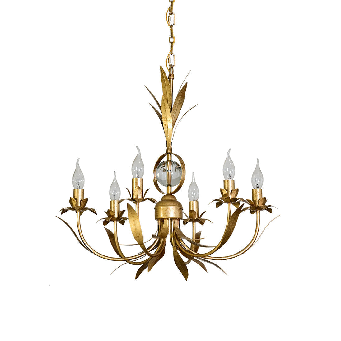 Soralora candelabru