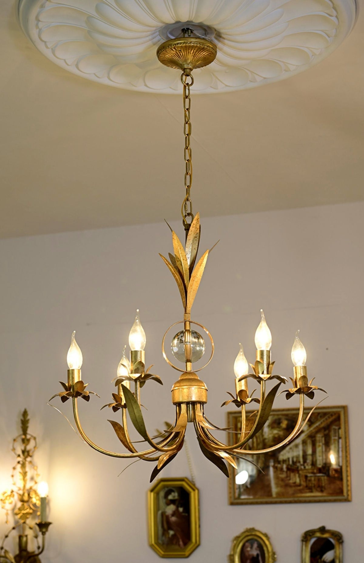 Soralora candelabru