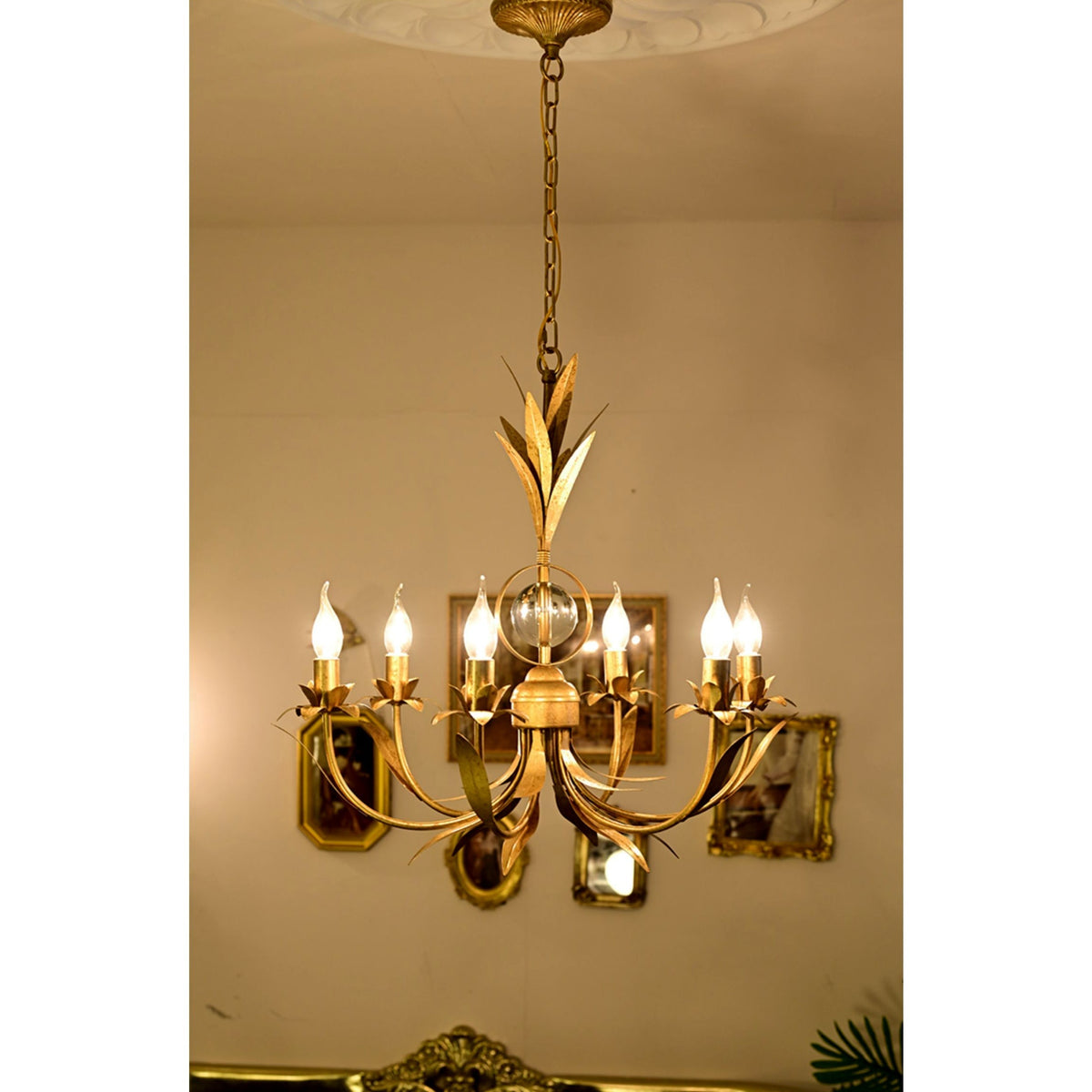 Soralora candelabru