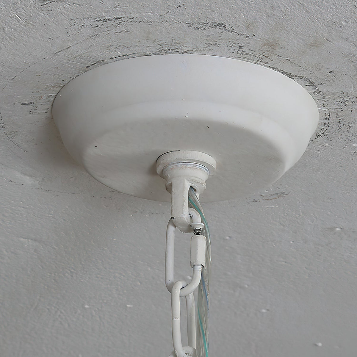 Olrinia candelabru