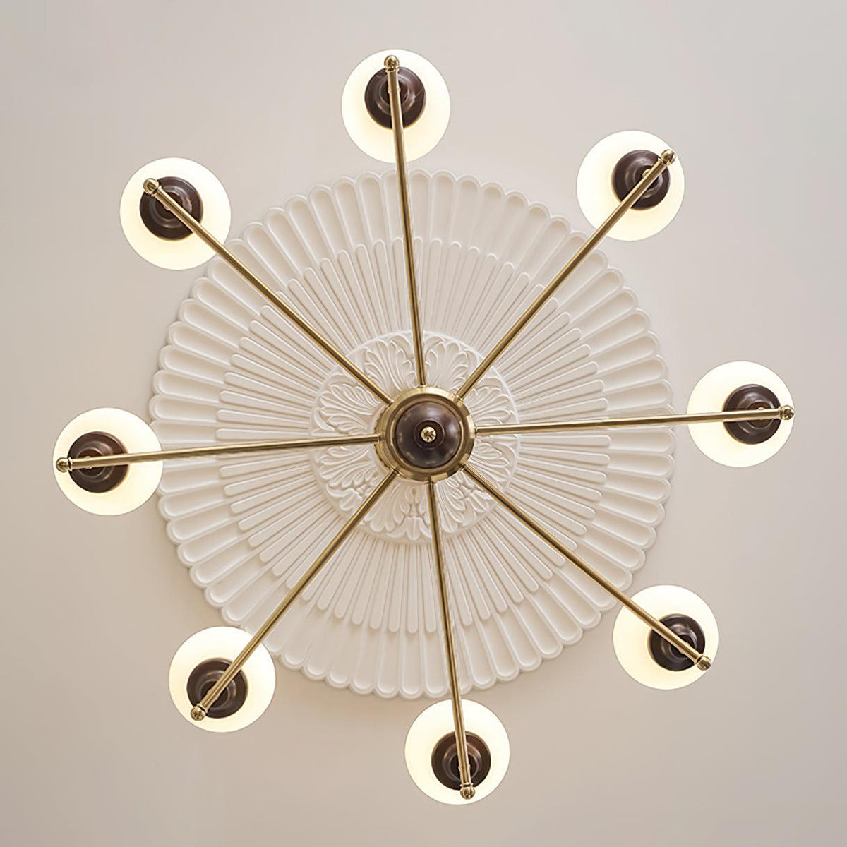 Calivora candelabru