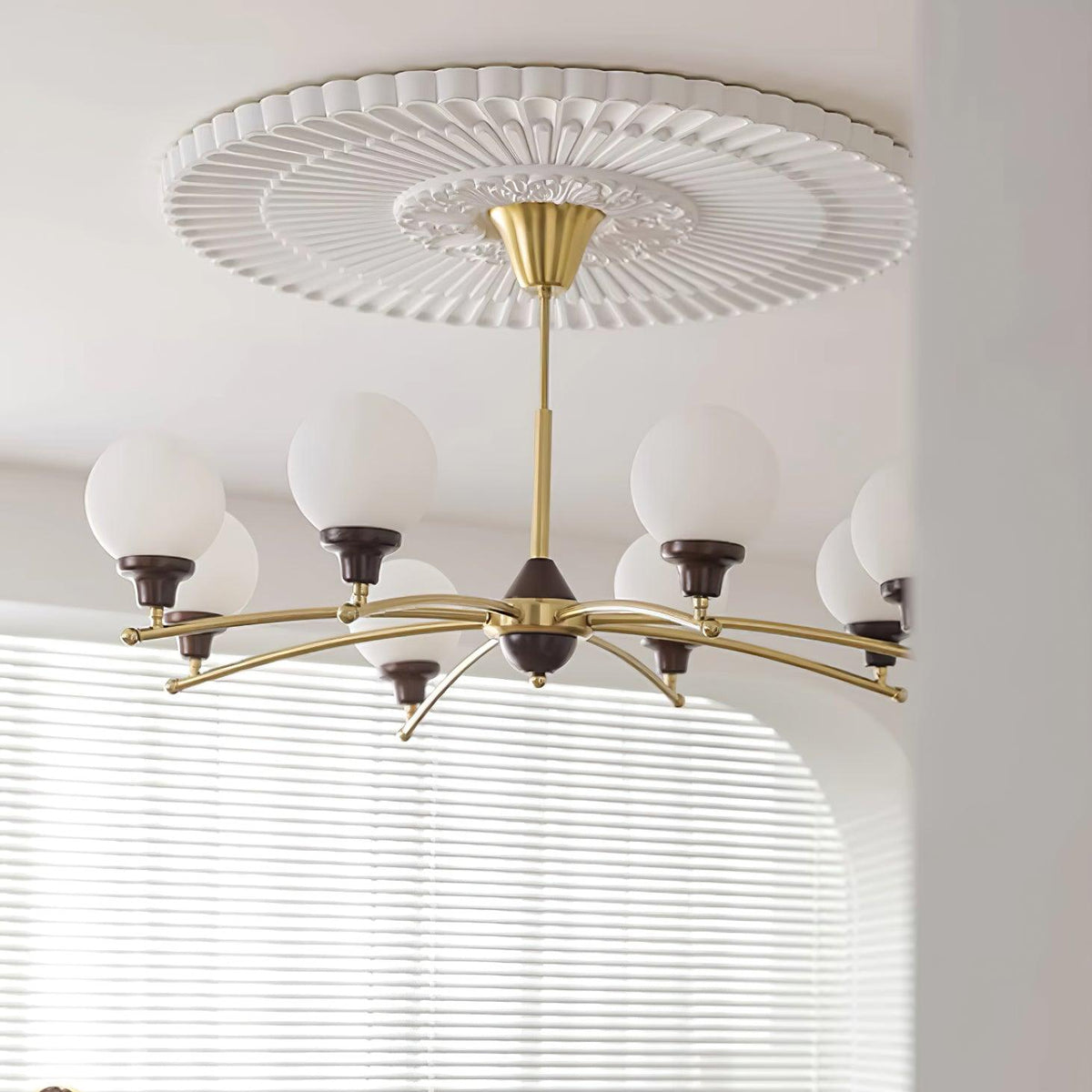 Calivora candelabru
