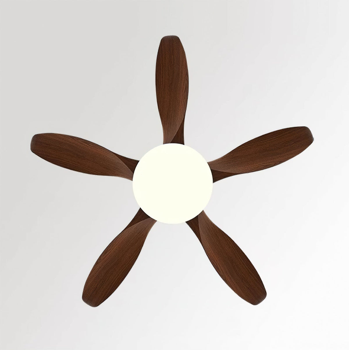 Liororeria ventilator de tavan cu lumină