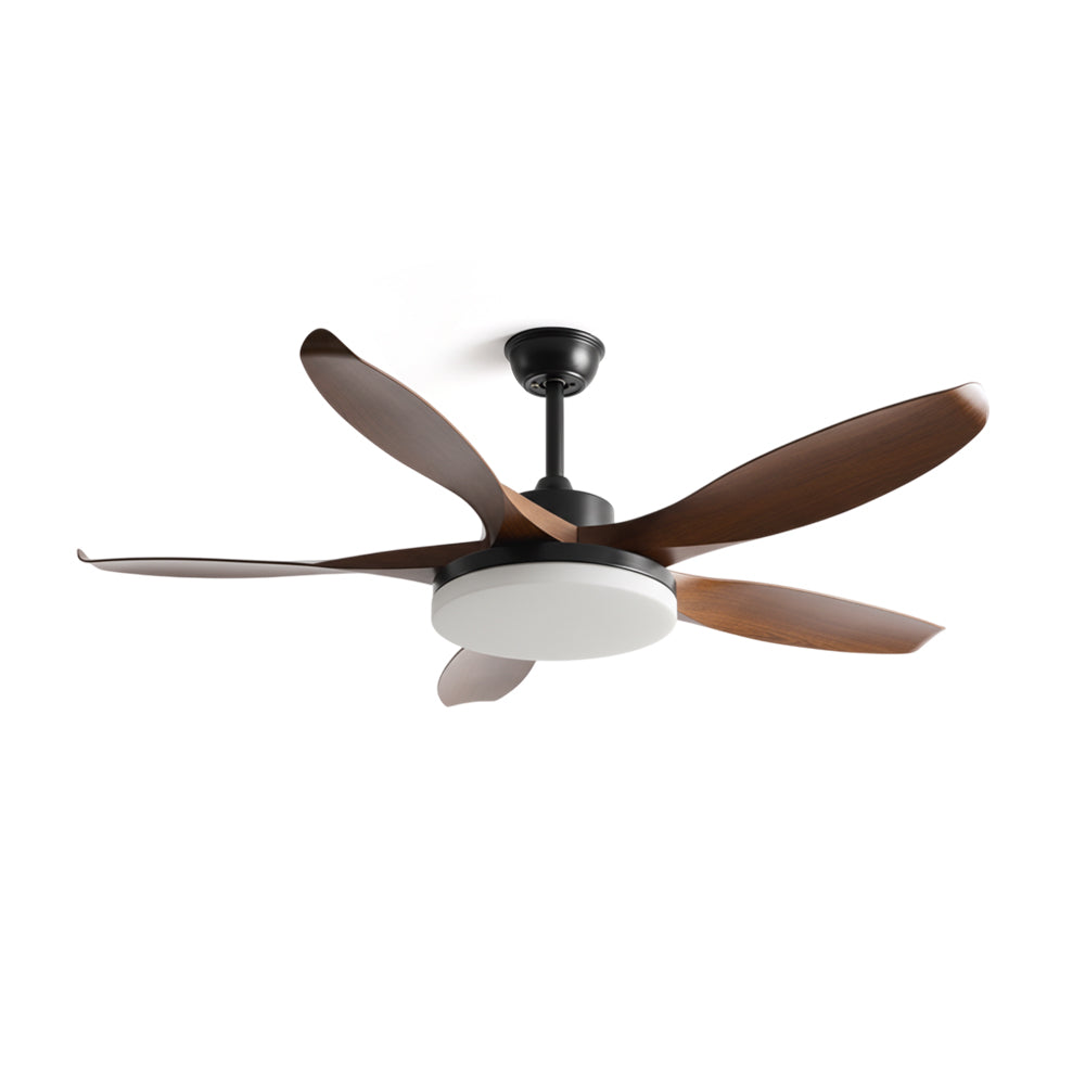 Liororeria ventilator de tavan cu lumină