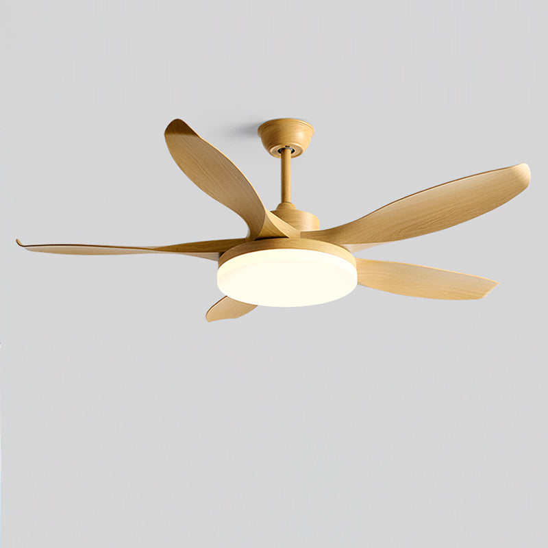 Liororeria ventilator de tavan cu lumină