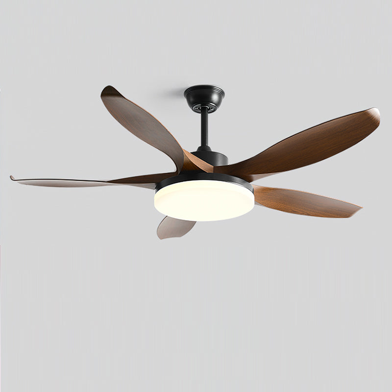 Liororeria ventilator de tavan cu lumină