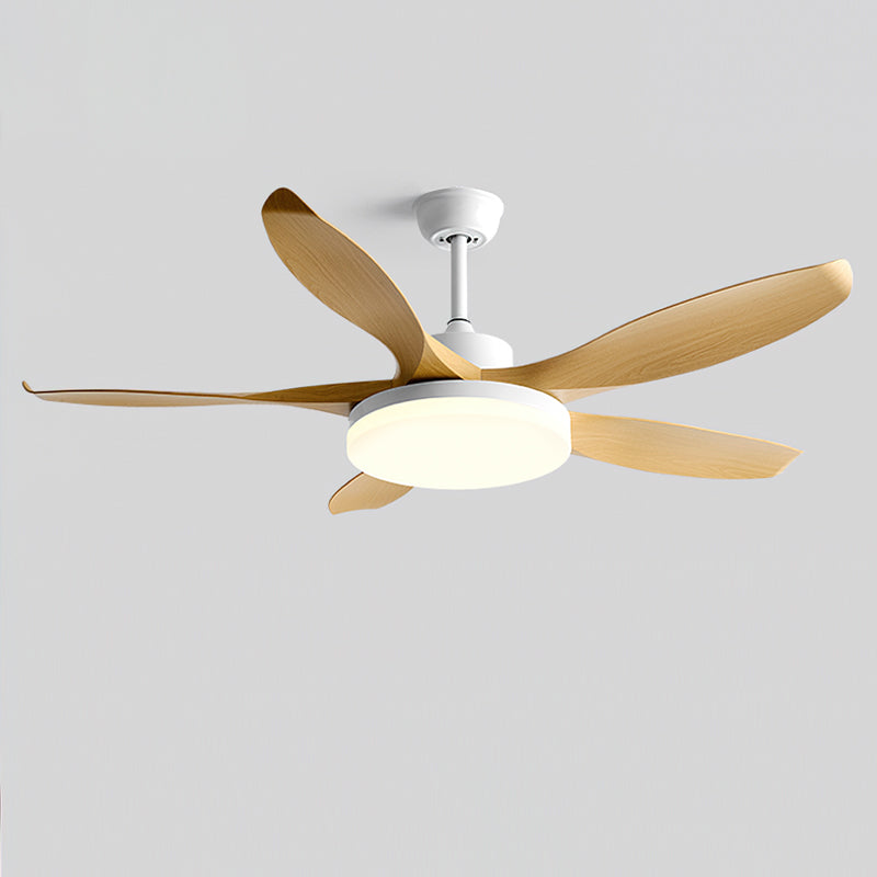 Liororeria ventilator de tavan cu lumină