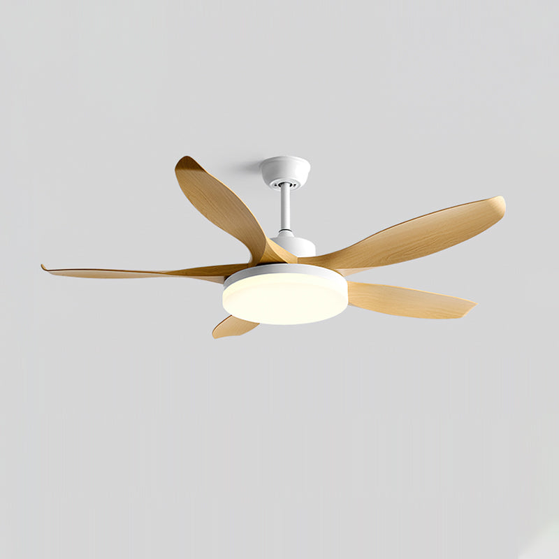 Liororeria ventilator de tavan cu lumină