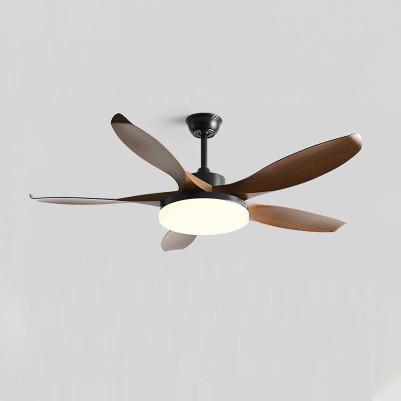 Liororeria ventilator de tavan cu lumină