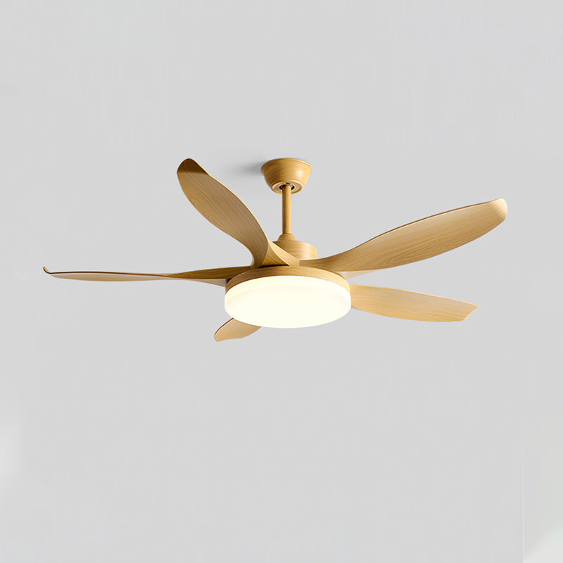 Liororeria ventilator de tavan cu lumină