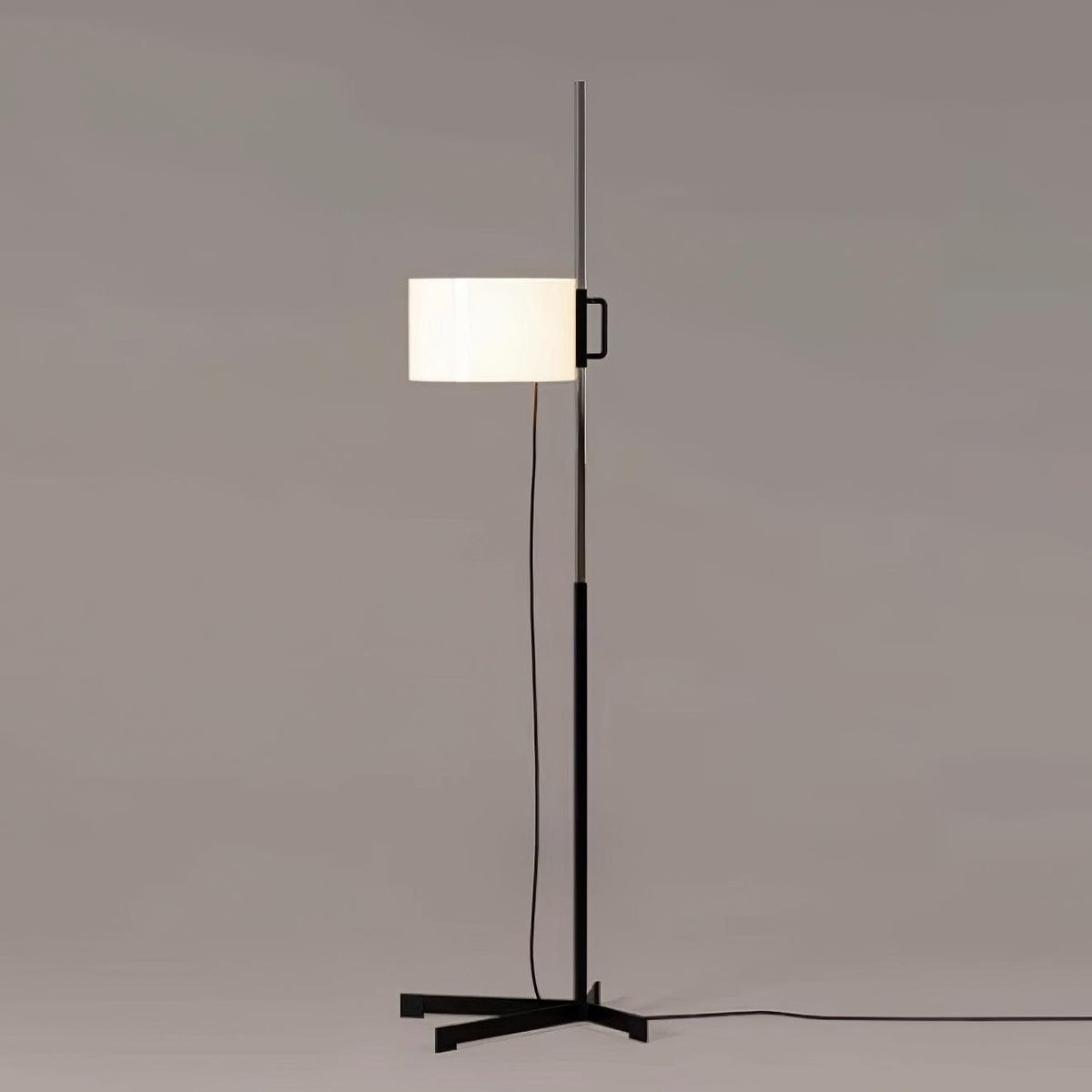 Reniselia lampadar