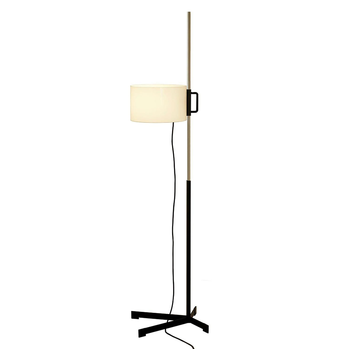 Reniselia lampadar