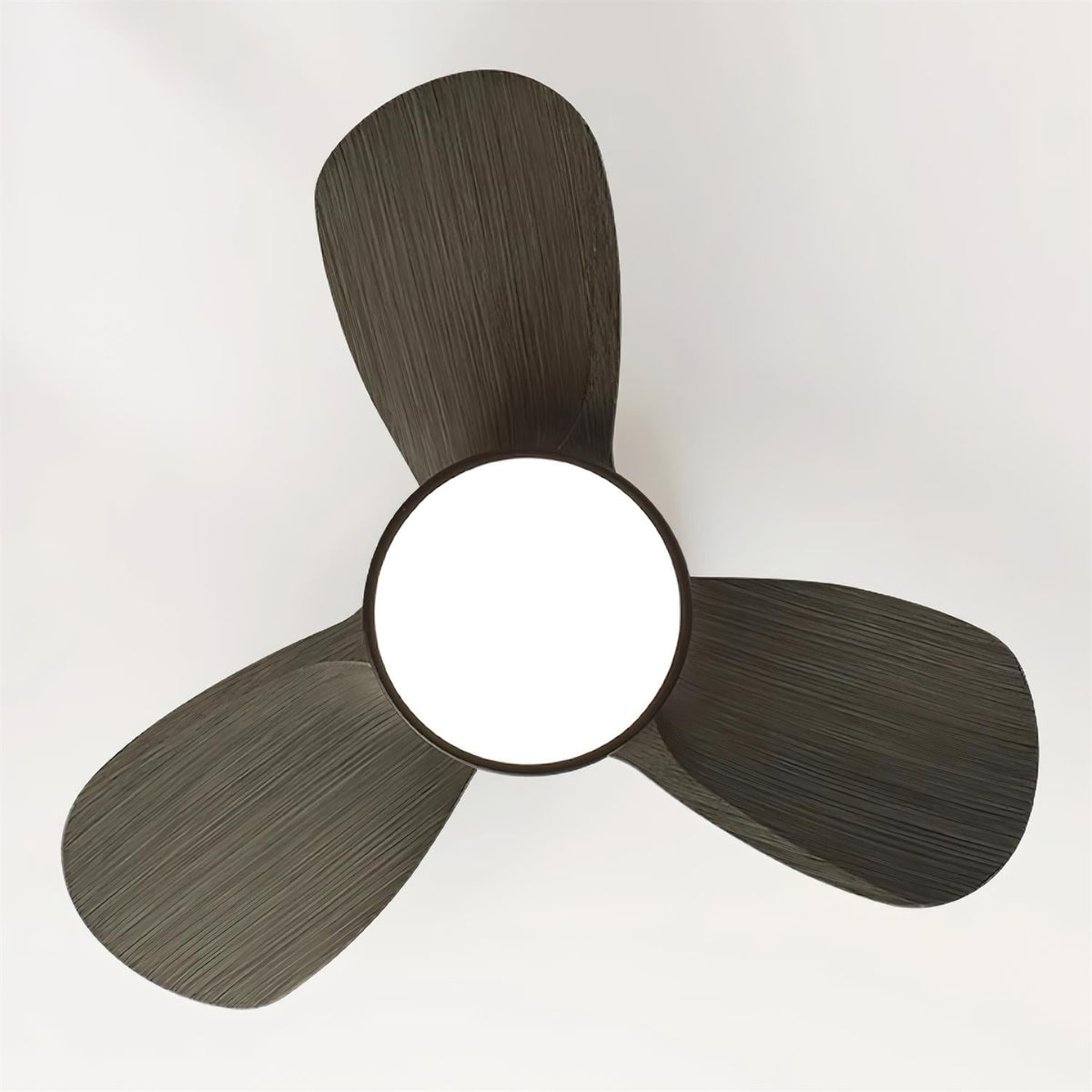 Lioraleria ventilator de tavan cu lumină