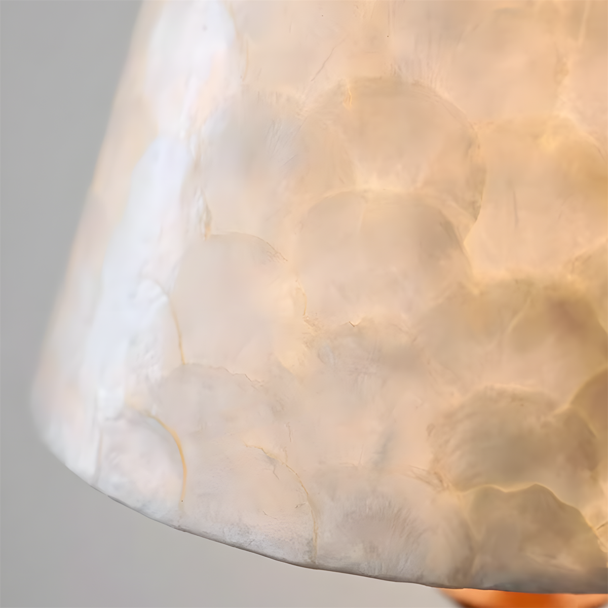 Cireora lampadar