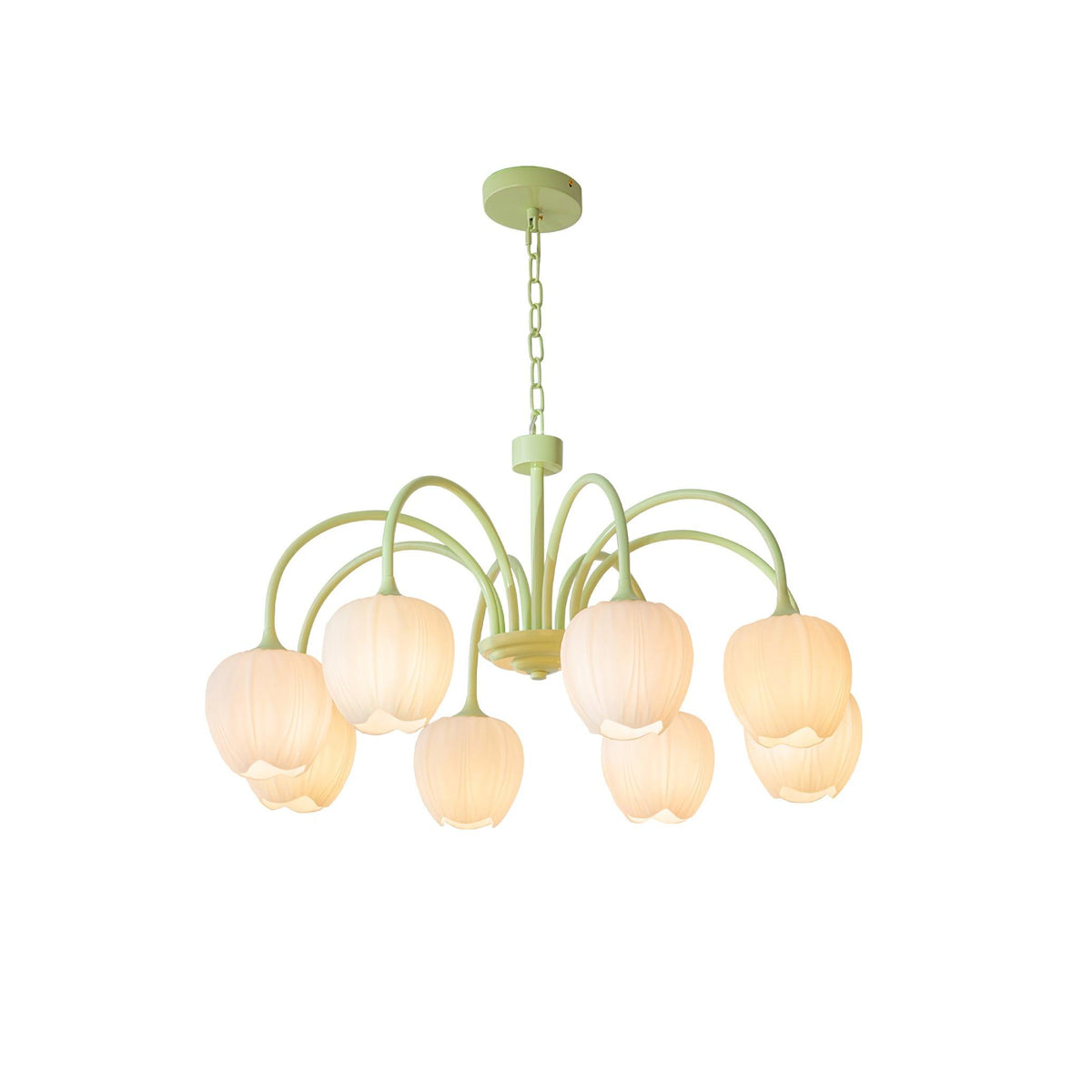 Eiraine candelabru Tulip Matcha sticlă
