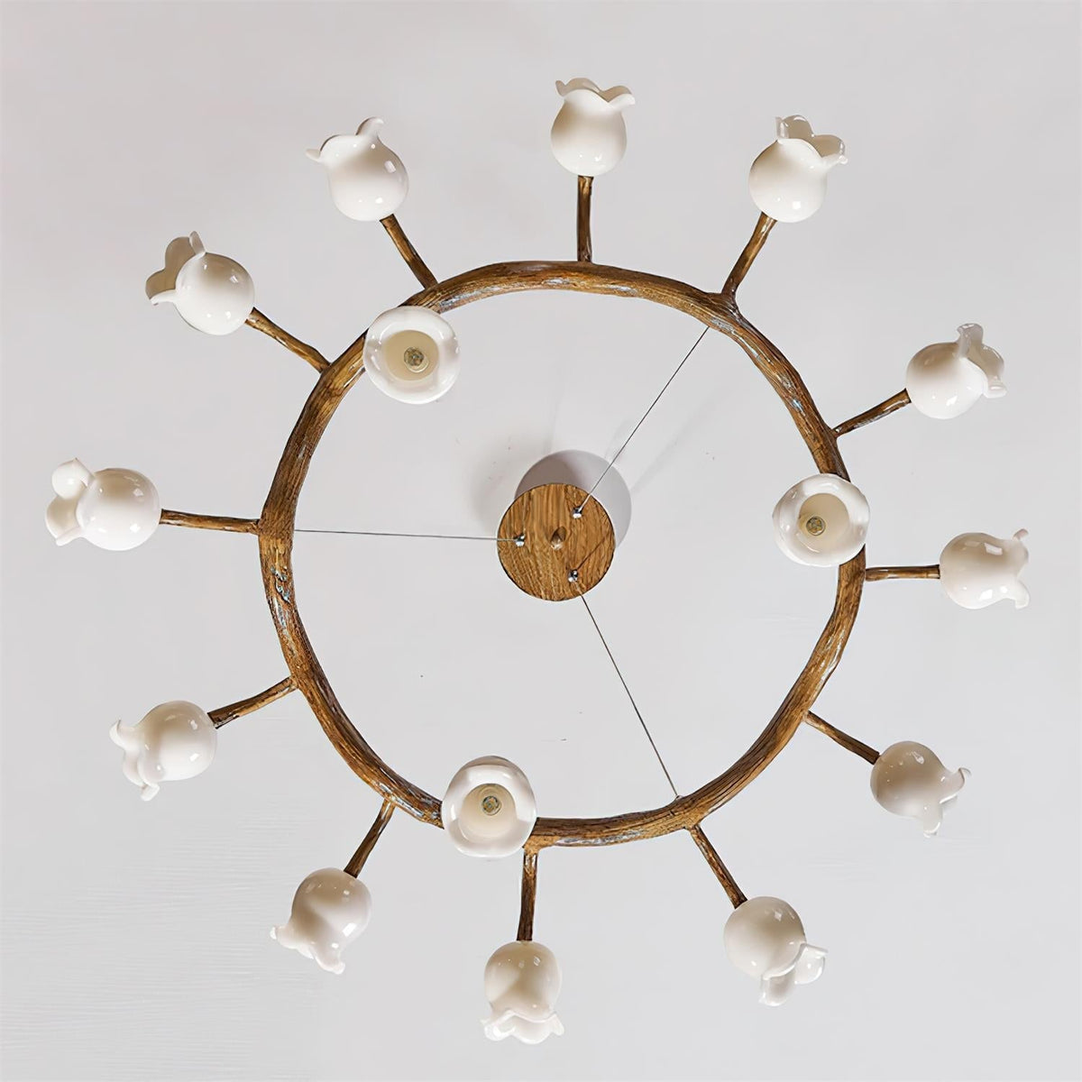 Rivivena candelabru