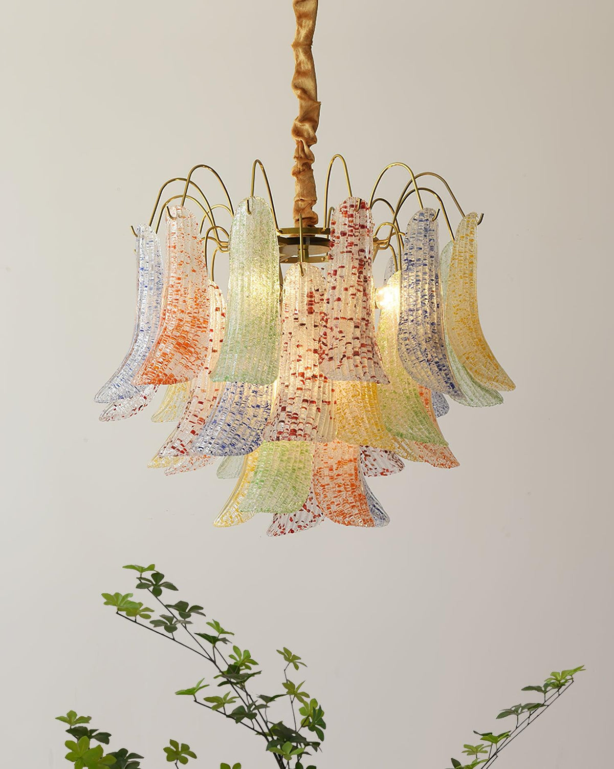 Auphilia candelabru
