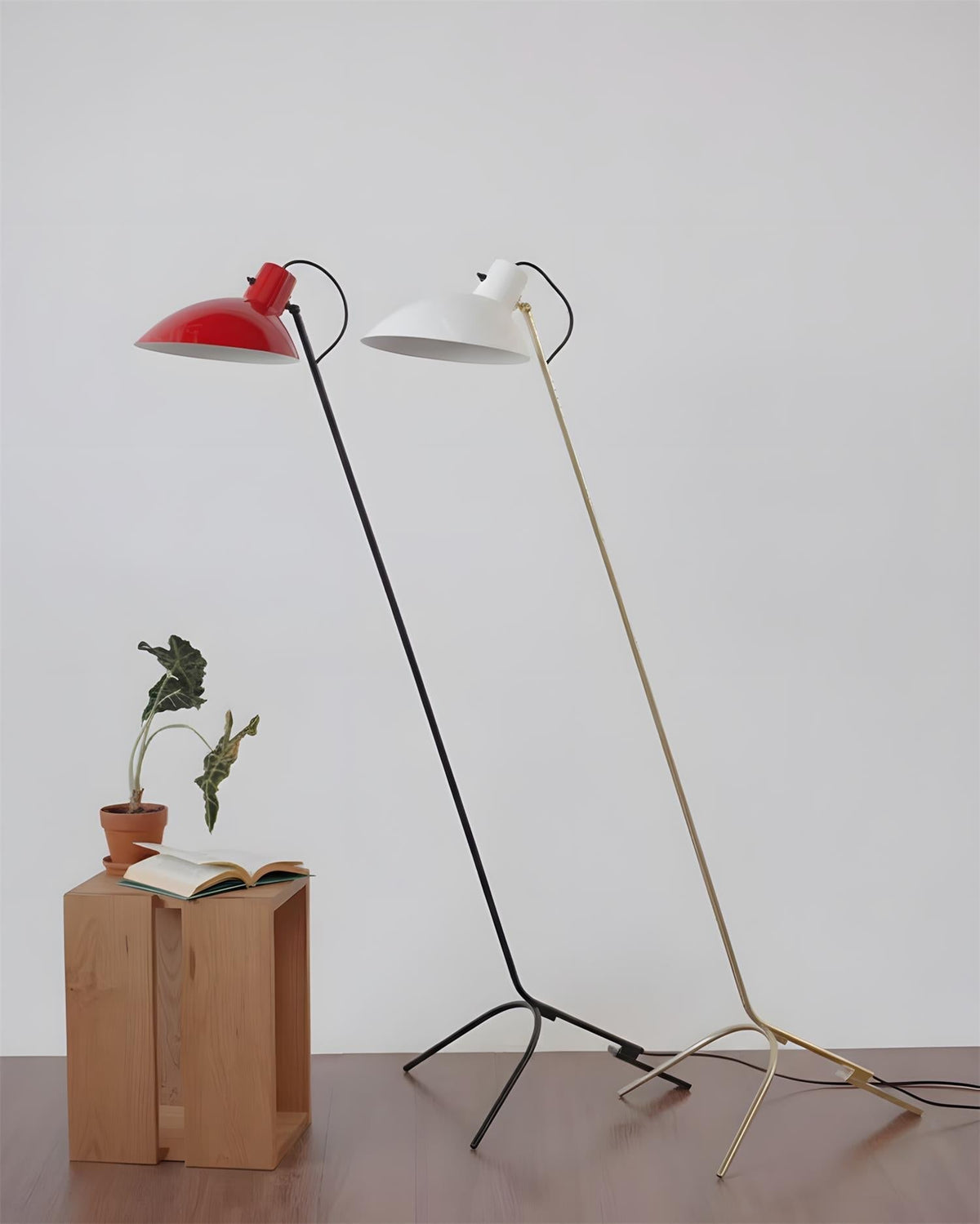 Liorinielle Curve lampadar